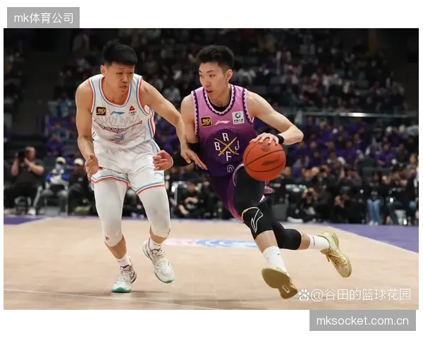 辽宁队本赛季触及外援注册上限，阵容不稳定是其战绩下滑的主因。